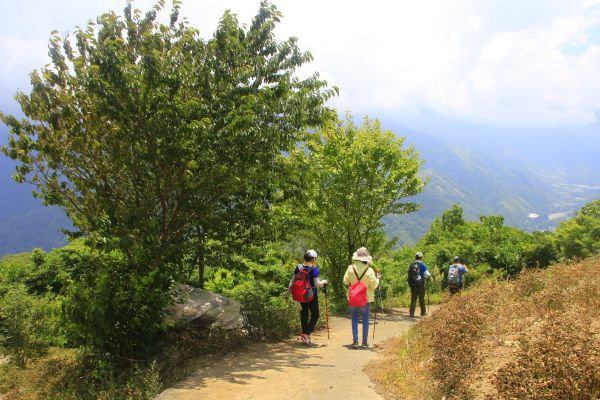 一日登山的好去處~獵人古道~望美山~372722