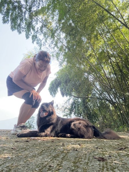 後棟仔山、挑筍古道、大尖山2920251