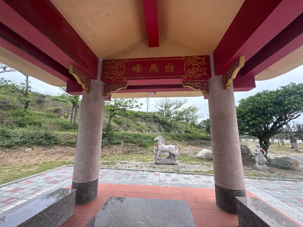 芳苑濕地紅樹林海空步道2766464