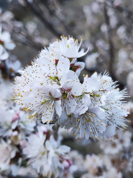 單攻志佳陽2725299