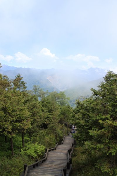 觀霧雲霧步道 20150619684887