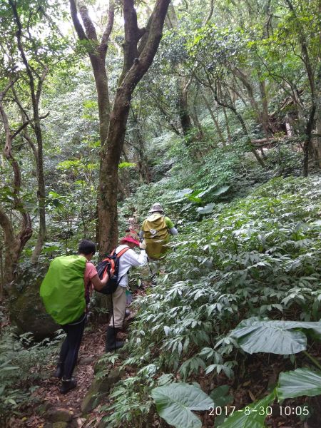  大屯溪古道，淡水 106.08.30(三)179303