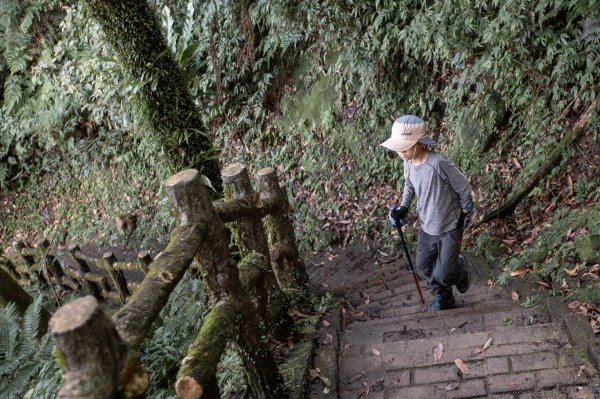 微笑山線 筆架連峰段段｜健行筆記尋寶任務2824791