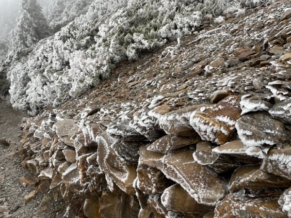 絕美銀白世界 玉山降下今年冬天「初雪」1235972
