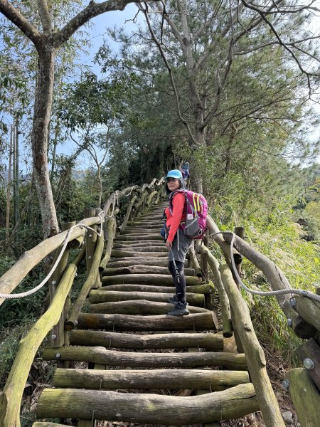 頭嵙山二嵙山O形2690491