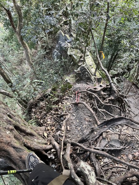 蝶夢八唐搜尋失蹤者 2025.11.252954301