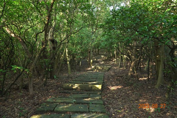 基隆 安樂 大武崙山、三角嶺頭山2268043