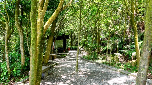 內雙溪自然中心2808688