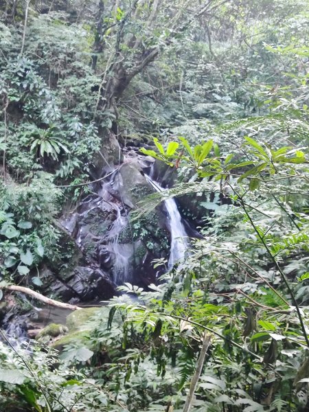 三峽白雞三山2963346