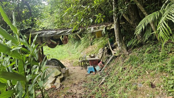 20250902大湖山東南峰-康樂山北峰-明舉山東峰-安湖公園-火炭坑山(騎車爬山)2878458