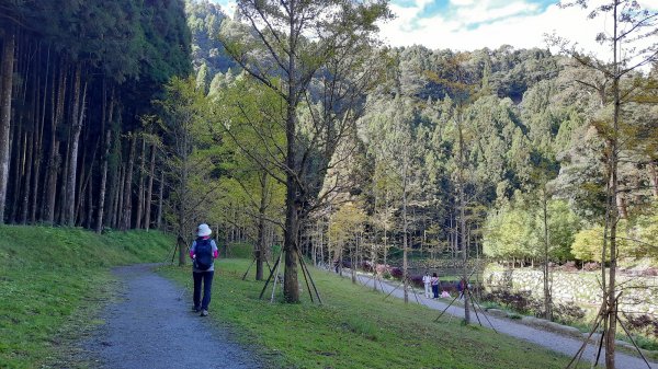 《南投》銀杏湖｜杉林溪青龍瀑布越嶺古道燕庵步道202210151880012