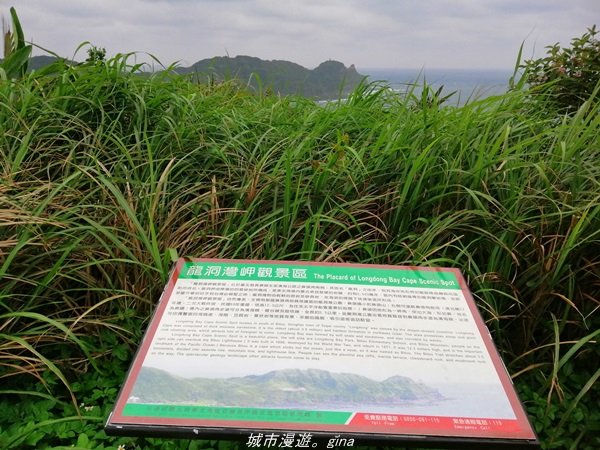 【新北。貢寮】壯麗海景。 龍洞灣岬步道1364899