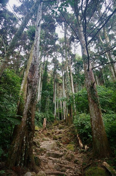 五指山五指連峰2025389