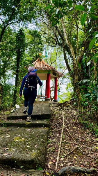 嶺頭觀日步道，西九分坑山O走2809635