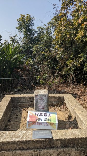 阿罩霧山 樟公廟來回2046445