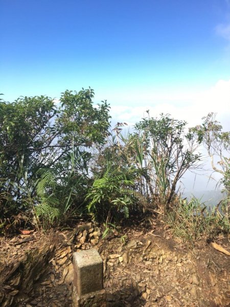 20181014日湯真山446480