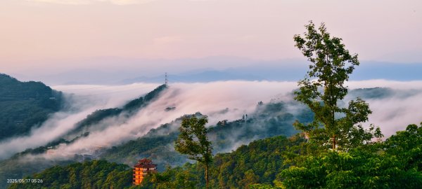 石碇趴趴走追雲趣 #二格山 #雲瀑 #藍腹鷴母鳥 #雲海流瀑 #霧虹 5/172788221