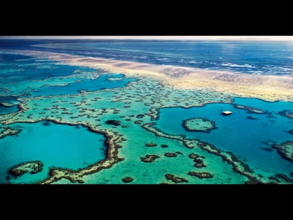 【世界走透透】自然奇景的幕後科學－大堡礁