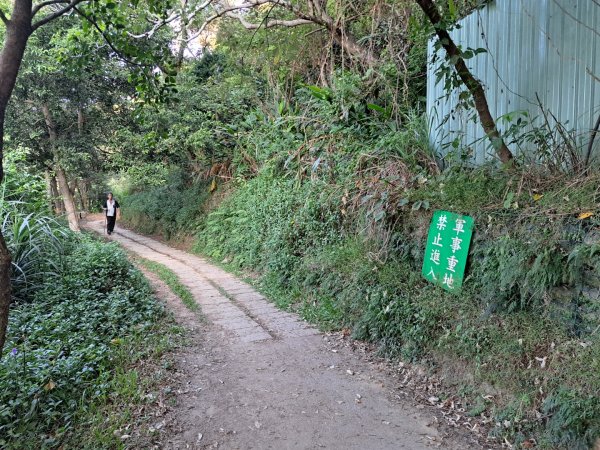 新竹鳳崎落日，司馬庫斯神木群，李崠山步道3131080
