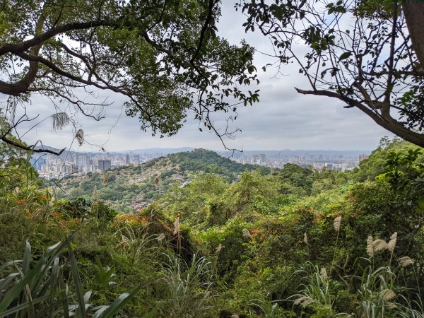 麟光至萬隆 南港山列 福州山 中埔山 芳蘭山1663782