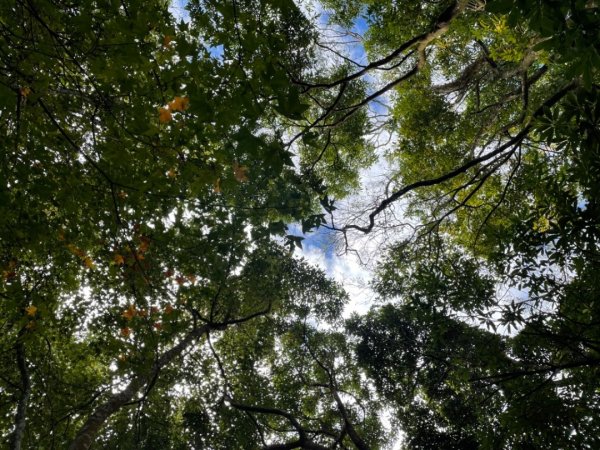 馬拉邦山健行1520692