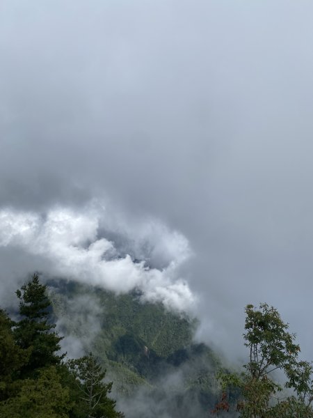 52大小雪山森林步道11310133093060