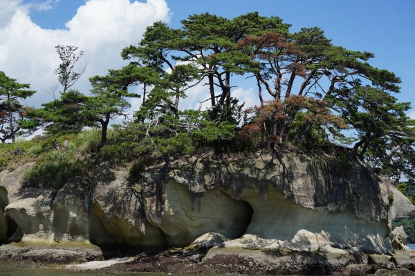 日本 東北封面