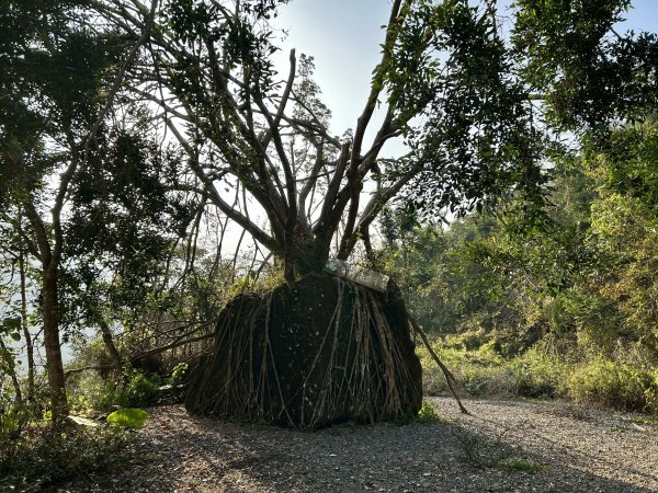 萬年峽谷步道2969841