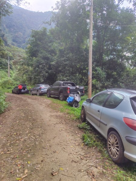 多納六秀 京大山2957615