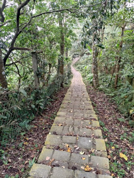 【新竹縣橫山鄉】大崎棟步道2833216