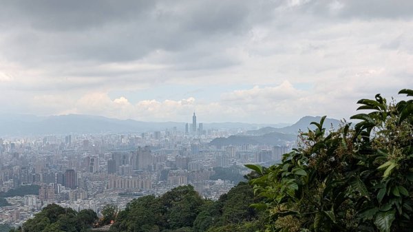 南勢角山步道3122098