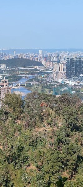 新店獅頭山(小獅山)步道2694757