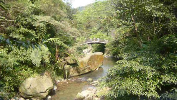 滑瀑、峭壁、溯溪～暖東峽谷1288940