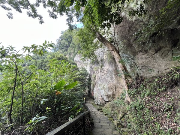 [皮皮獅Hike客任務-04/10] 2024_0721 獅山古道2557468