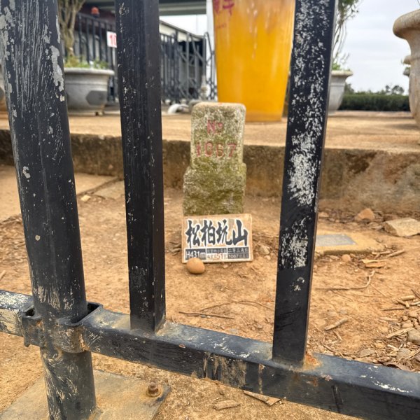 20260102松柏嶺登廟步道+松柏坑山、田園茶香賞茶步道+坑內坑森林步道2982909