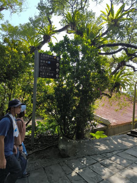 20251108草嶺古道2936117