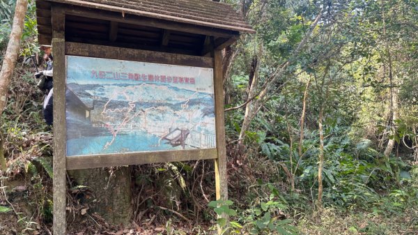 九份二山 集集大山 九尖賞梅2695252