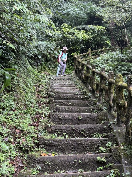 二格山 2025.07.202864226