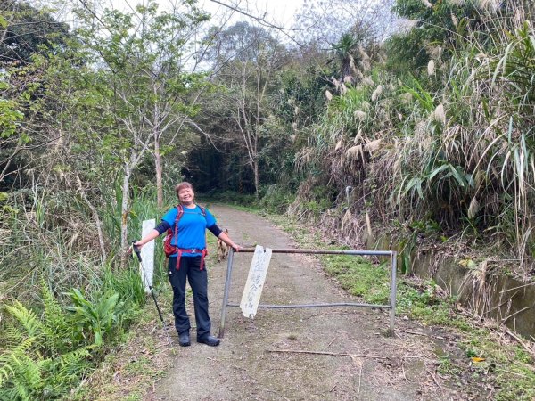 鵝公髻山（小百岳）鵝公髻山東北峰2449876