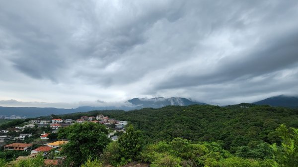 我家的後花園1716830