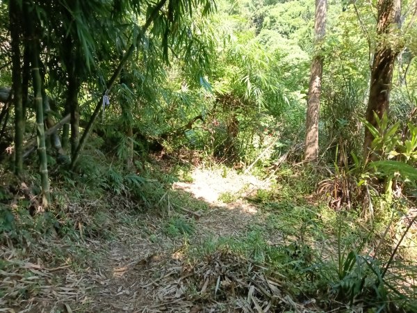 汐止區小溪瀑布+車坪寮土地公稜線2890136