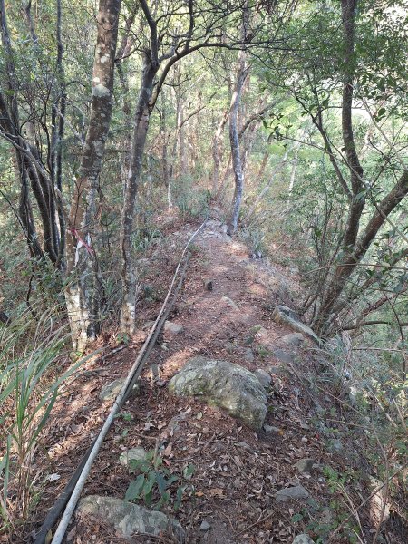 上谷關山202511202940869