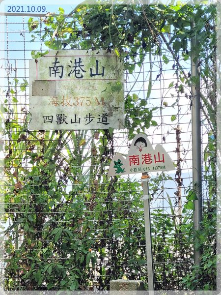 台北大縱走1495027