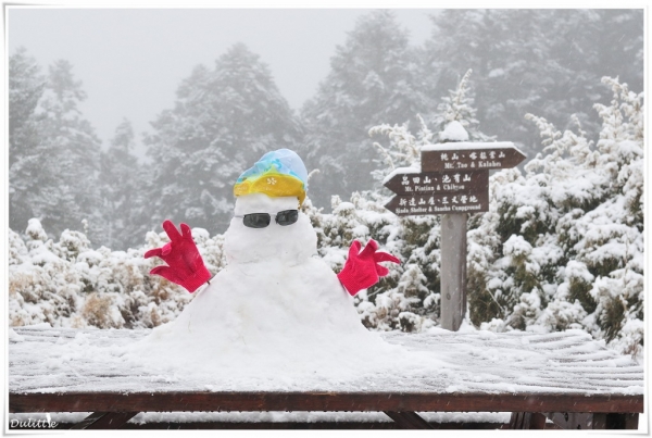 【美哉台灣】大雪紛飛的桃山