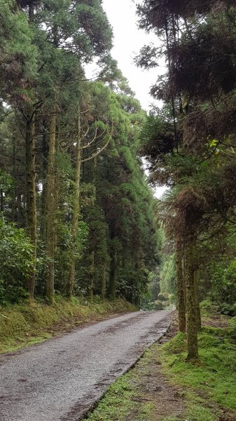 淡蘭古道坪溪段1294153