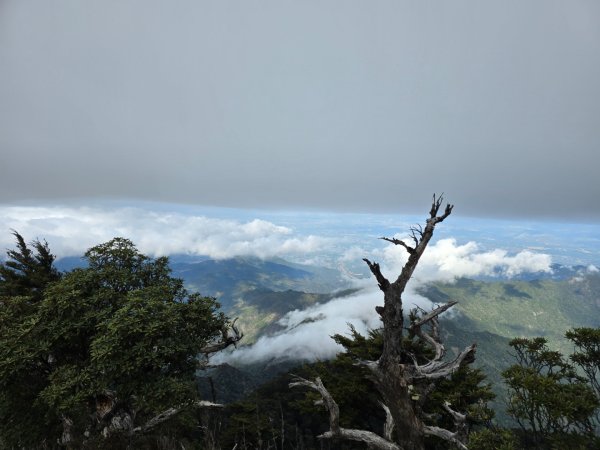 北大武山（喜多麗斷崖）雲海、雲霧、耶穌光之美2467684