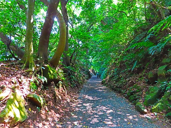 夏季清涼步道：翠峰瀑布與步道619573