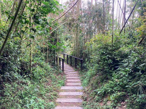 阿里山頂湖步道2625729