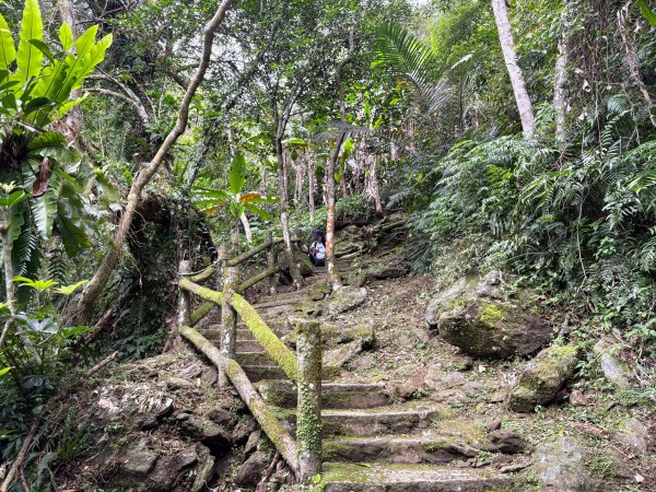 鯉魚山步道群2728336