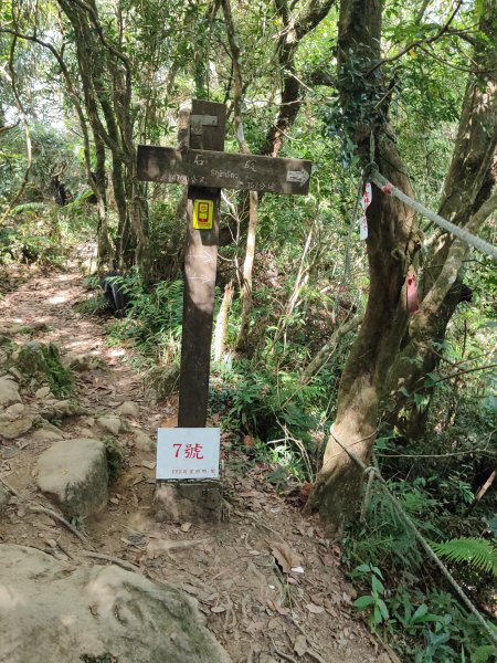 微笑山線：【二格山系】筆架連峰段2920968